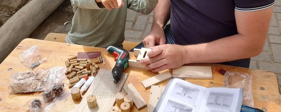 Gemeinsam Insektenhotel planen